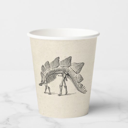 Stegosaurus Dinosaur Skeleton Fossil Pappbecher (Vorderseite)