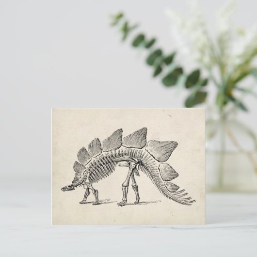 Stegosaurus Dinosaur Skeleton Fossil Postkarte (Stehend Vorderseite)
