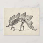 Stegosaurus Dinosaur Skeleton Fossil Postkarte (Vorderseite)