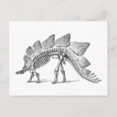 Stegosaurus Dinosaur Skeleton Fossil Postkarte (Vorderseite)