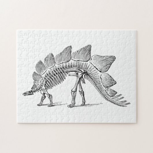 Stegosaurus Dinosaur Skeleton Fossil Puzzle (Horizontal)