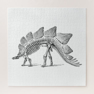 Stegosaurus Dinosaur Skeleton Fossil Puzzle