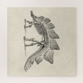 Stegosaurus Dinosaur Skeleton Fossil Puzzle (Horizontal)