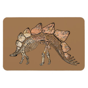 Stegosaurus Magnet