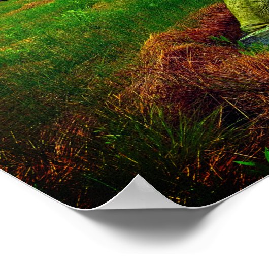 Stegosaurus Poster (Ecke)