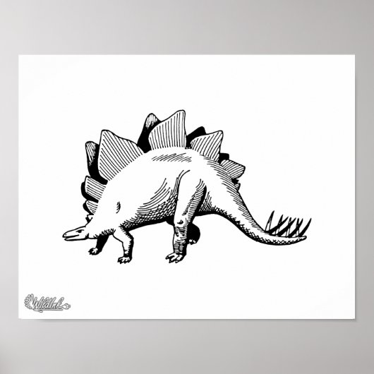 Stegosaurus Poster (Vorne)
