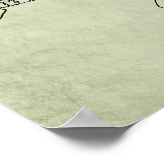 Stegosaurus Skeleton Poster (Ecke)