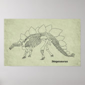 Stegosaurus Skeleton Poster (Vorne)