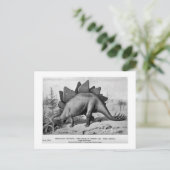 Stegosaurus ungulatus Art Postkarte (Stehend Vorderseite)