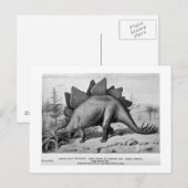 Stegosaurus ungulatus Art Postkarte (Vorne/Hinten)