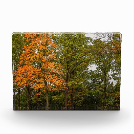 Stehen Sie da Fotoblock (Vorderseite)
