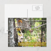 Stehen Sie da! Postkarte (Vorne/Hinten)