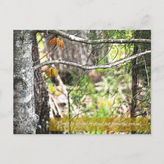 Stehen Sie da! Postkarte (Vorderseite)