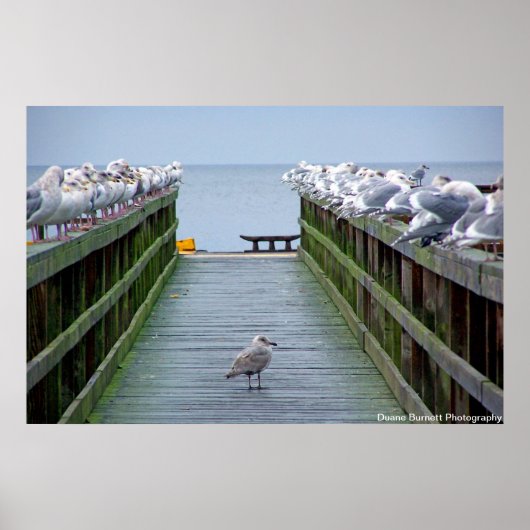 Stehen Sie in der Menge auf Poster (Vorne)