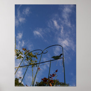 Stehen Sie mir an den Toren Poster