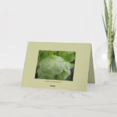 Stehen Sie nicht an meiner ernsten Karte (Rückseite)