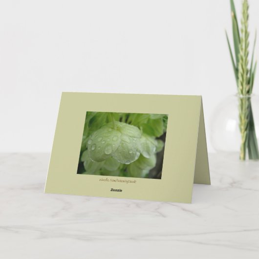 Stehen Sie nicht an meiner ernsten Karte (Rückseite)