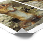 Stehend Chipmunk Poster (Ecke)