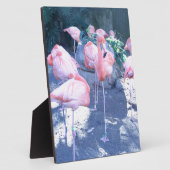 Stehend Flamingo Fotoplatte (Seite)
