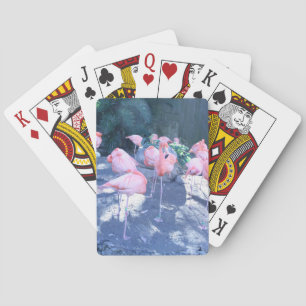 Stehend Flamingo Spielkarten