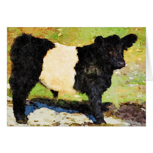Stehend Galloway Galloway steer calf Happy Birthda (Vorderseite (Horizontal))