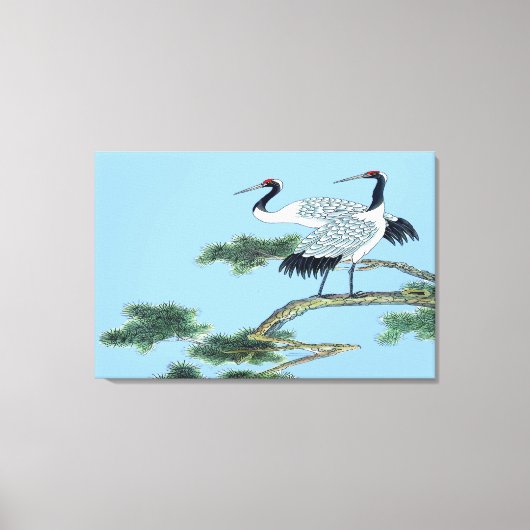 Stehend gekrönter Kranich Leinwanddruck (Vorderseite)