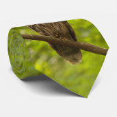 Stehend heraus in der grünen Krawatte (Gerollt)