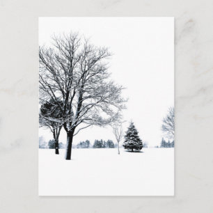 Stehend im Schnee Postkarte