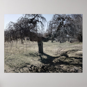 Stehend im Wind Poster