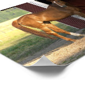 Stehend Kastanie Poster (Ecke)