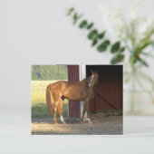 Stehend Kastanie Postkarte (Stehend Vorderseite)