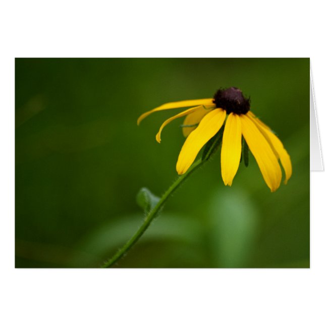 Stehend-Out-Karte (Vorderseite (Horizontal))