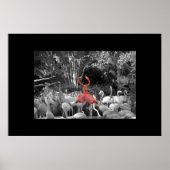 Stehend Poster (Vorne)