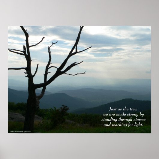 Stehend/Poster erreichen Poster (Vorne)