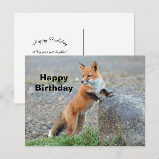 Stehend Red Fox Geburtstag Postkarte (Vorne/Hinten)