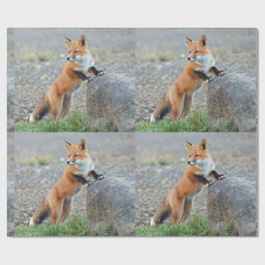 Stehend Red Fox Geschenkpapier (Flach)