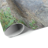 Stehend Red Fox Geschenkpapier (Rolleneckpunkt)