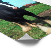 Stehend Shire Poster (Ecke)