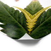 Stehend Stolz... Poster (Ecke)