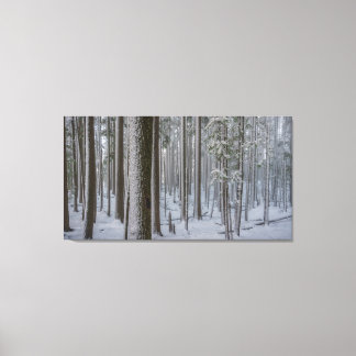 Stehend Tal #1 Leinwanddruck