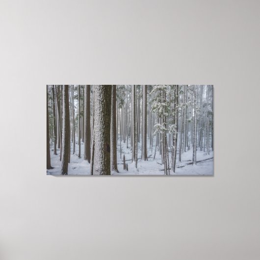 Stehend Tal #1 Leinwanddruck (Vorderseite)