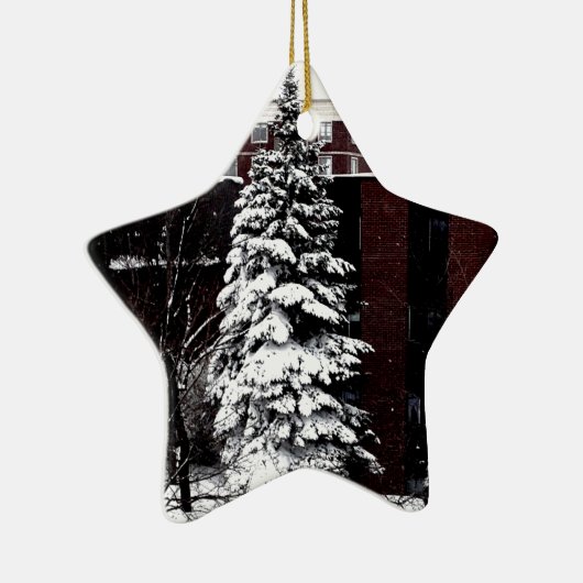 Stehend Tal Keramik Ornament (Rechts)