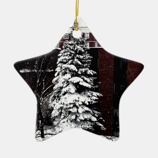 Stehend Tal Keramik Ornament (Vorne)