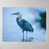 Stehend Tal Poster (Vorne)