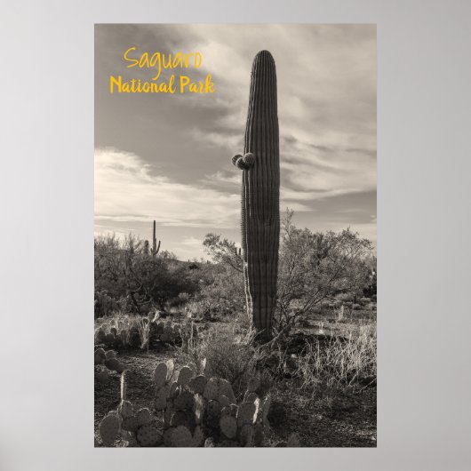 Stehend Tal Poster (Vorne)