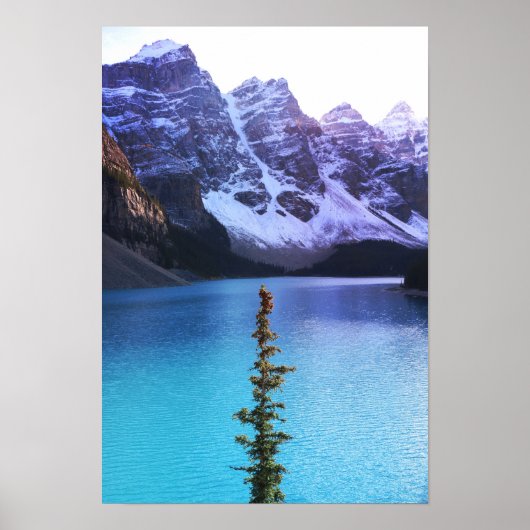 Stehend Tal Poster (Vorne)