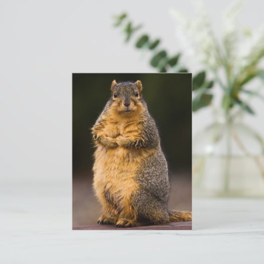 Stehend Tal Postkarte (Stehend Vorderseite)