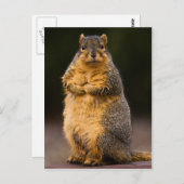 Stehend Tal Postkarte (Vorne/Hinten)