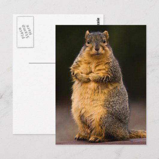 Stehend Tal Postkarte (Vorne/Hinten)