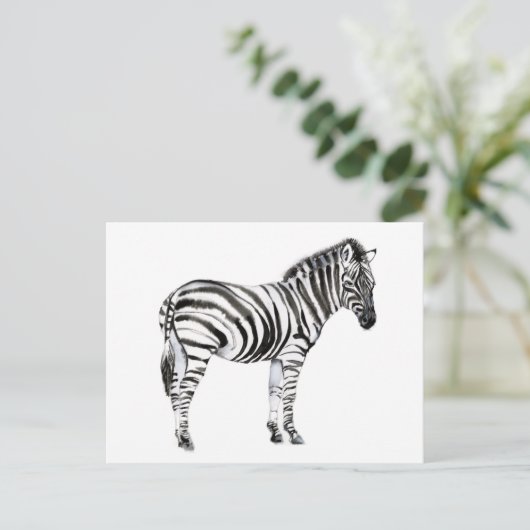 Stehend Zebra Postkarte (Stehend Vorderseite)